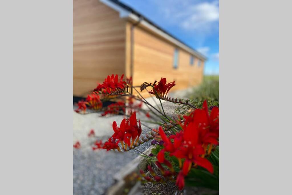 The Gallafield, Self Catering Bungalow , Stornoway Stornoway  Luaran gambar